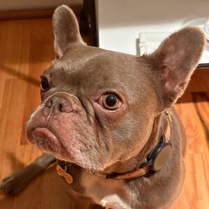 Meet your Posher, Noel